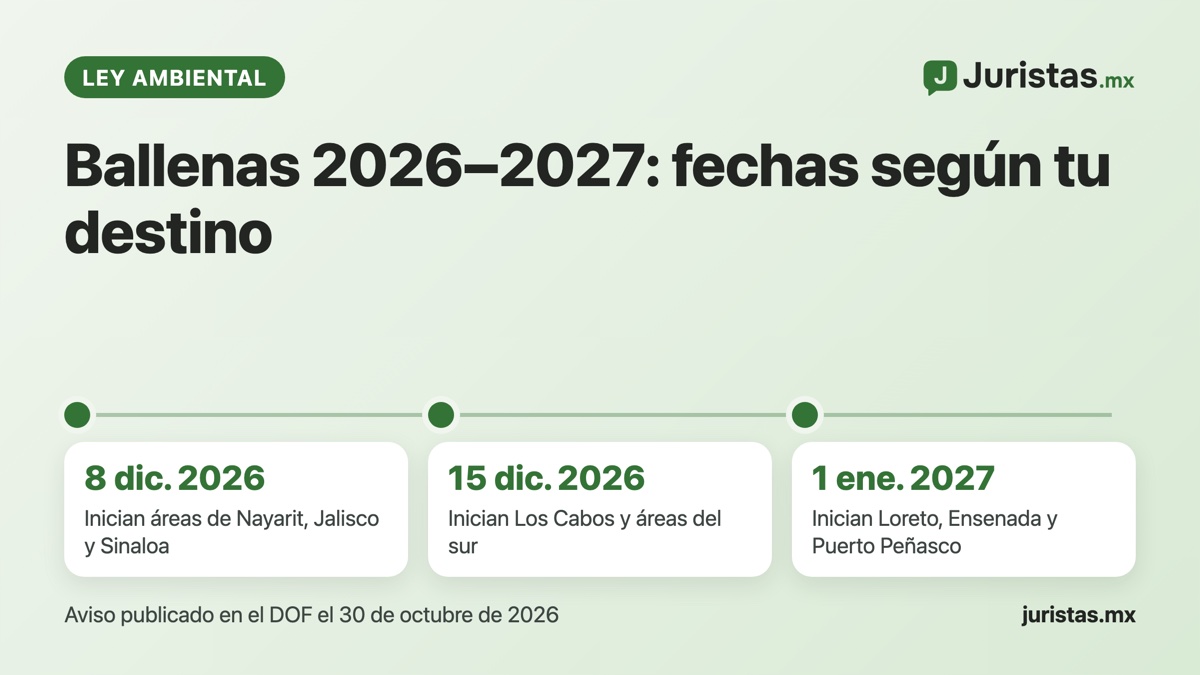 Ballenas 2026–2027: Semarnat fija temporadas desde el 8 de diciembre y zonas restringidas